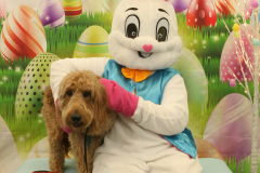 Second-Chance-For-Pets-Easter-Part-1-56