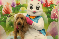 Second-Chance-For-Pets-Easter-Part-1-57