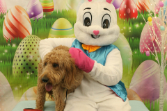 Second-Chance-For-Pets-Easter-Part-1-58