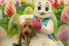 Second-Chance-For-Pets-Easter-Part-1-59