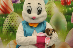 Second-Chance-For-Pets-Easter-Part-1-6