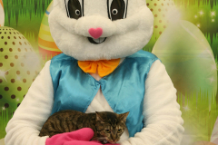 Second-Chance-For-Pets-Easter-Part-1-60