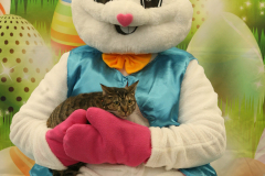 Second-Chance-For-Pets-Easter-Part-1-63