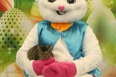 Second-Chance-For-Pets-Easter-Part-1-64