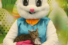 Second-Chance-For-Pets-Easter-Part-1-68
