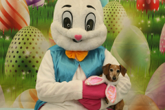 Second-Chance-For-Pets-Easter-Part-1-7