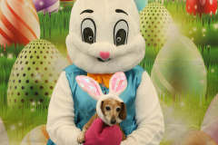Second-Chance-For-Pets-Easter-Part-1-8