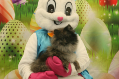 Second-Chance-For-Pets-Easter-Part-1-88