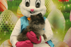 Second-Chance-For-Pets-Easter-Part-1-89