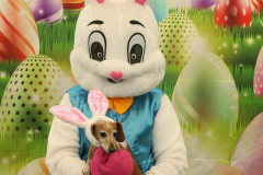 Second-Chance-For-Pets-Easter-Part-1-9