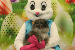 Second-Chance-For-Pets-Easter-Part-1-92