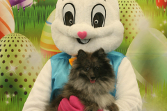 Second-Chance-For-Pets-Easter-Part-1-95