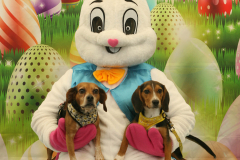 Second-Chance-For-Pets-Easter-Part-1-97