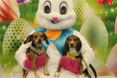 Second-Chance-For-Pets-Easter-Part-1-98