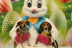 Second-Chance-For-Pets-Easter-Part-1-99