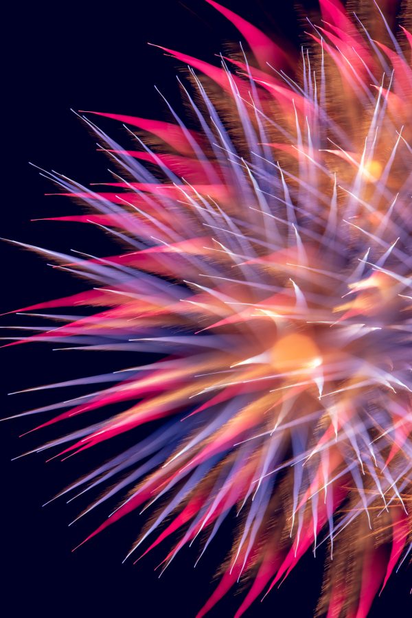 How to Create Flower Fireworks on the 4th of July Benjamin Lehman