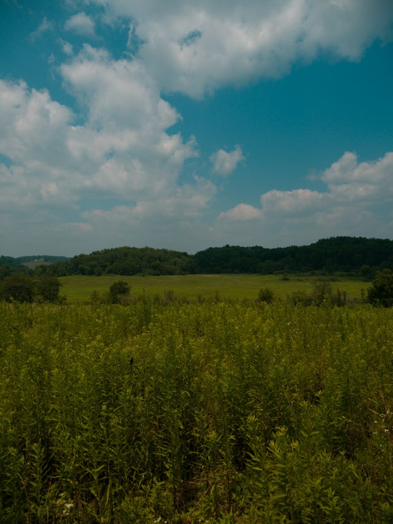The rolling meadows at Pike Ridge Park feel more like the Great Plains than northeast Ohio, with wide-open skies, hidden wetlands, and just enough mystery to keep you walking.
